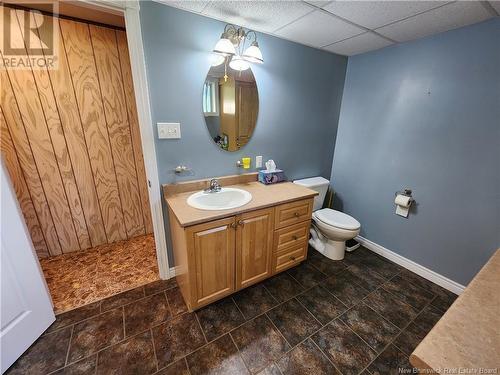 624 3Rd Avenue, Grand-Sault/Grand Falls, NB - Indoor Photo Showing Bathroom