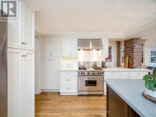 22 Mary Street, Milton (Old Milton), ON - Indoor Photo Showing Kitchen With Upgraded Kitchen