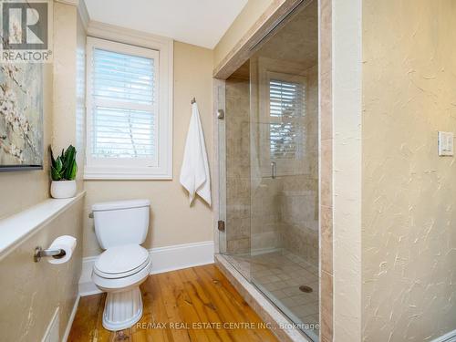 22 Mary Street, Milton, ON - Indoor Photo Showing Bathroom