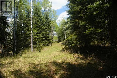 Pitt Acreage, Preeceville Rm No. 334, SK - Outdoor