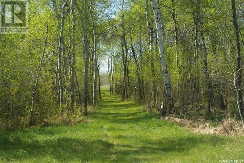 Pitt Acreage, Preeceville Rm No. 334, SK - Outdoor With View