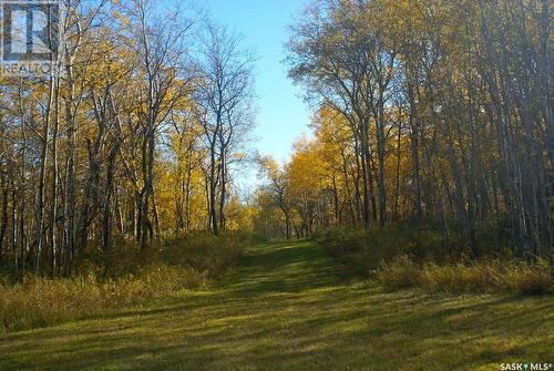 Pitt Acreage, Preeceville Rm No. 334, SK - Outdoor With View