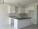 123 Pike Street, Smith-Ennismore-Lakefield, ON  - Indoor Photo Showing Kitchen With Double Sink 