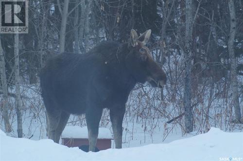 Pitt Farm, Preeceville Rm No. 334, SK 