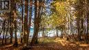 423003 Harbour Road, Meaford, ON 