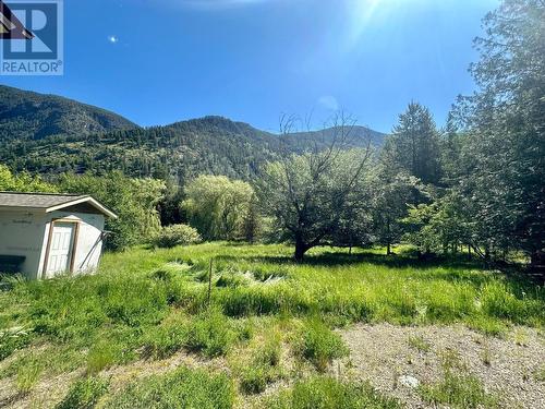 4810 40Th Street, Canyon, BC - Outdoor With View