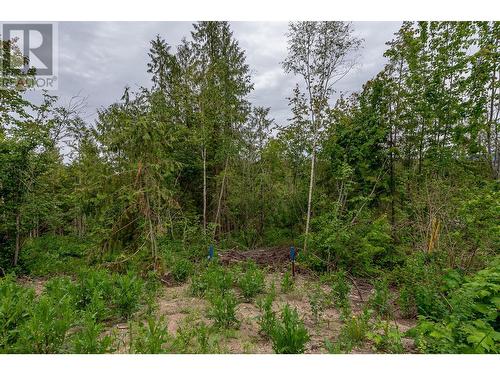 125 Timberlane Road, Enderby, BC 