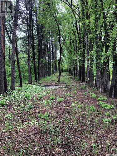 Macdonald Acreage, Shellbrook Rm No. 493, SK - Outdoor