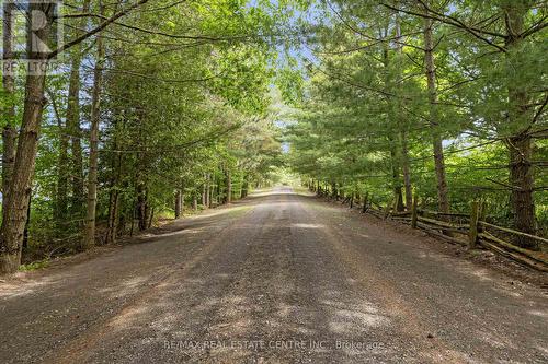 5955 Third Line, Erin, ON - Outdoor With View