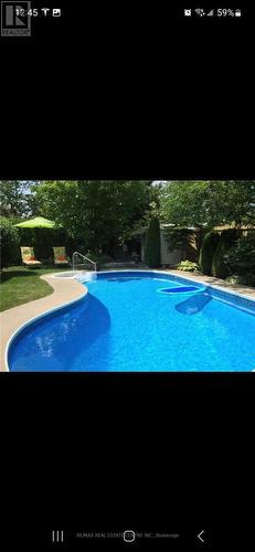 33 Strathroy Crescent, Hamilton, ON - Outdoor With In Ground Pool With Backyard