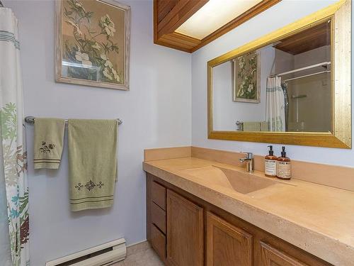 3924 & 3926 Cambrai Rd, Duncan, BC - Indoor Photo Showing Bathroom