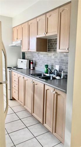 174 Herkimer Street|Unit #504, Hamilton, ON - Indoor Photo Showing Kitchen With Double Sink