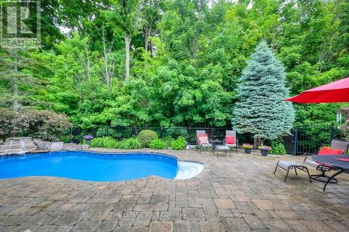 145 Willis Drive, Aurora, ON - Outdoor With In Ground Pool With Backyard