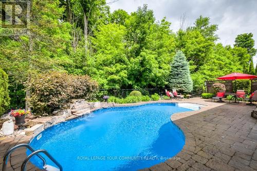 145 Willis Drive, Aurora, ON - Outdoor With In Ground Pool With Backyard