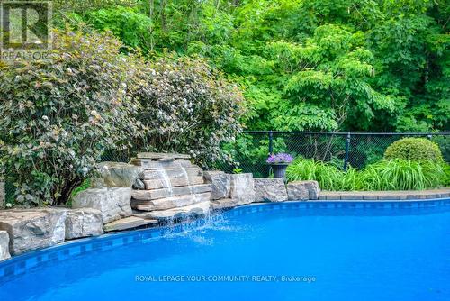 145 Willis Drive, Aurora, ON - Outdoor With In Ground Pool With Backyard