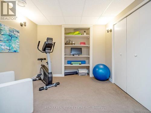 15 Trillium Terrace, Halton Hills, ON - Indoor Photo Showing Gym Room