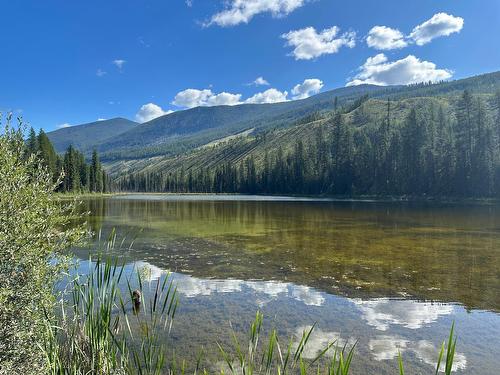 Lot 8 Whitetail Lake Road, Canal Flats, BC 