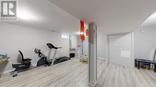 2 Mcmanus Place, London, ON - Indoor Photo Showing Gym Room