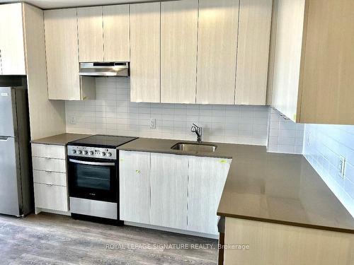 312-58 Sky Harbour Dr, Brampton, ON - Indoor Photo Showing Kitchen