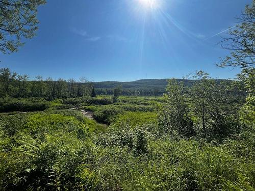 View - 2760 Ch. Doucet, Lac-Normand, QC - Outdoor With View