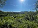 View - 2760 Ch. Doucet, Lac-Normand, QC  - Outdoor With View 