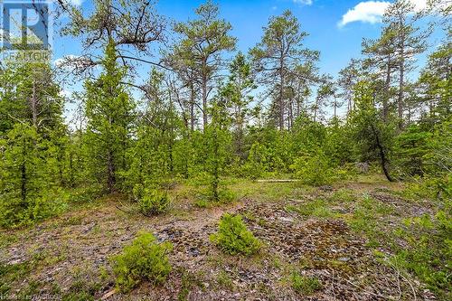 Lot 36 Dyers Bay Road, Northern Bruce Peninsula, ON 