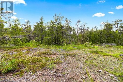 Lot 36 Dyers Bay Road, Northern Bruce Peninsula, ON 