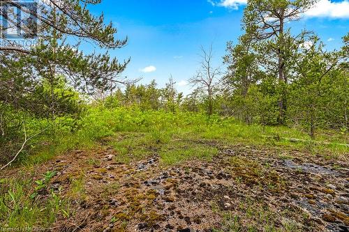 Lot 36 Dyers Bay Road, Northern Bruce Peninsula, ON 