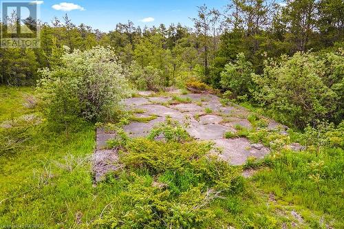 Lot 36 Dyers Bay Road, Northern Bruce Peninsula, ON 