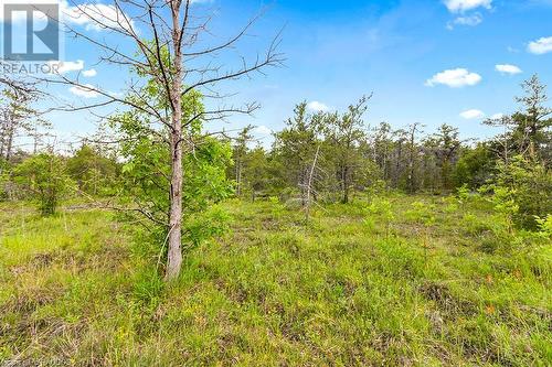 Lot 36 Dyers Bay Road, Northern Bruce Peninsula, ON 