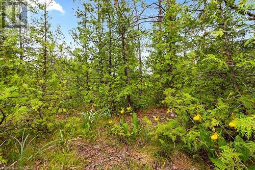 Lot 36 Dyers Bay Road, Northern Bruce Peninsula, ON 