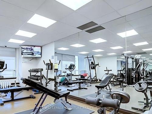 401-2 Rean Dr, Toronto, ON - Indoor Photo Showing Gym Room