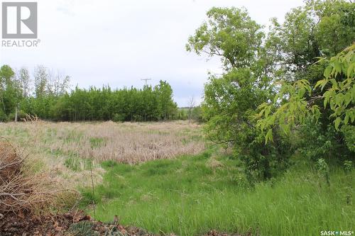 Guinan Acreage, St. Louis Rm No. 431, SK - Outdoor With View