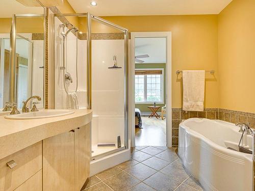 Ensuite bathroom - 165 Ch. Louis-Dufour, Saint-Sauveur, QC - Indoor Photo Showing Bathroom