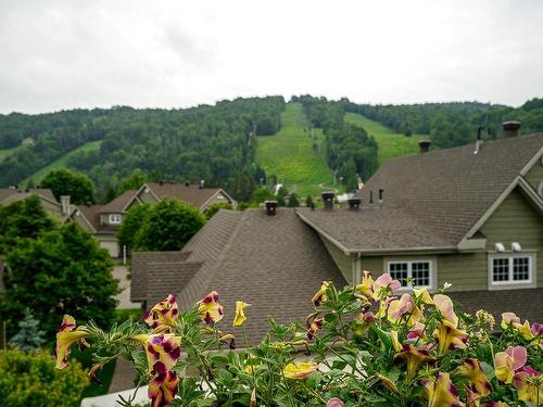 View - 165 Ch. Louis-Dufour, Saint-Sauveur, QC - Outdoor With View