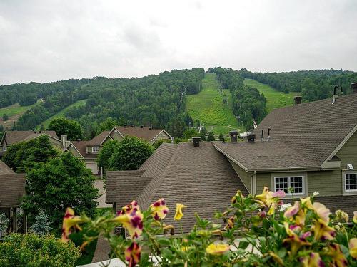 View - 165 Ch. Louis-Dufour, Saint-Sauveur, QC - Outdoor