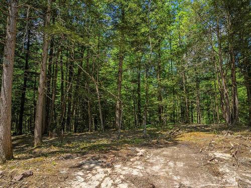 Cour - Ch. Du Golf, Sainte-Lucie-Des-Laurentides, QC - Outdoor With View