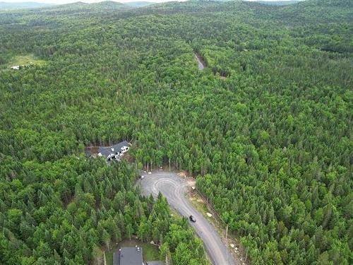 Overall view - Ch. Du Golf, Sainte-Lucie-Des-Laurentides, QC - Outdoor With View