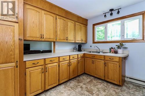 103 Willie Avenue, Saint John, NB - Indoor Photo Showing Kitchen With Double Sink