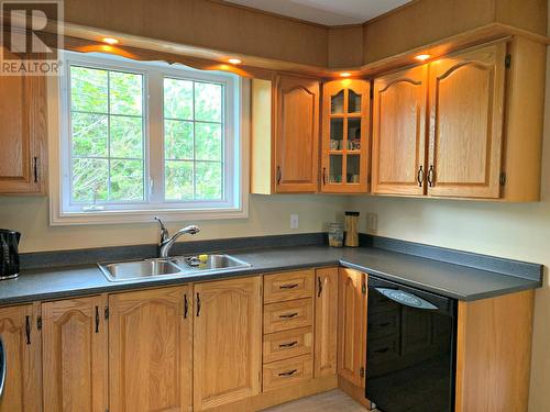 4 Parade Street, Bay Roberts, NL - Indoor Photo Showing Kitchen With Double Sink