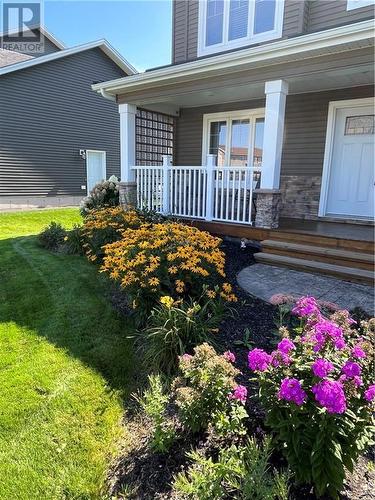 146 Holland Drive, Moncton, NB - Outdoor With Deck Patio Veranda