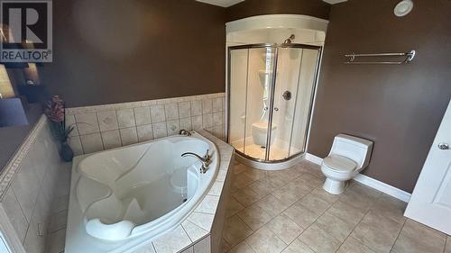 38 Fowlow Drive, Stephenville, NL - Indoor Photo Showing Bathroom