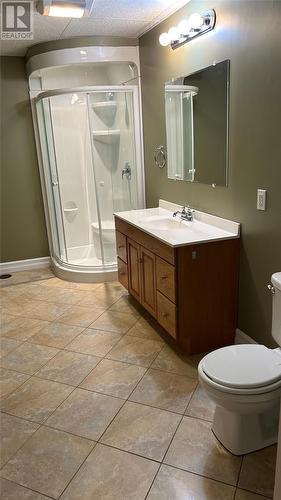 38 Fowlow Drive, Stephenville, NL - Indoor Photo Showing Bathroom