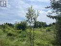 2.47 Acres Main Street, Blackville, NB 