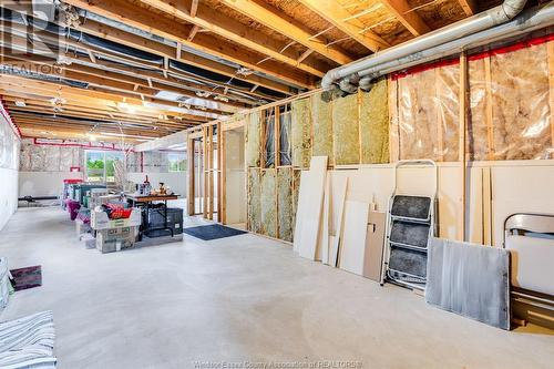 46 Hazel Crescent, Kingsville, ON - Indoor Photo Showing Basement