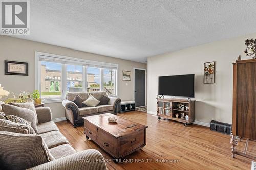 133A Mill Street, Southwest Middlesex, ON - Indoor Photo Showing Living Room