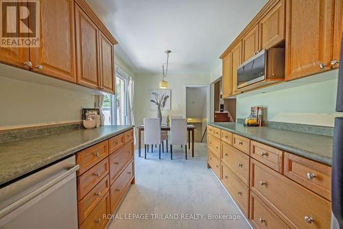 9 Stormont Drive, London, ON - Indoor Photo Showing Kitchen