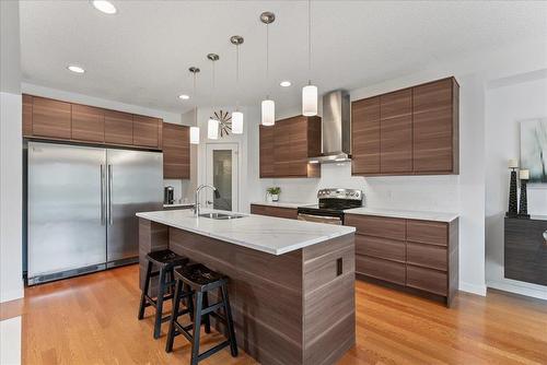 55 Lyonsgate Cove, Winnipeg, MB - Indoor Photo Showing Kitchen With Stainless Steel Kitchen With Double Sink