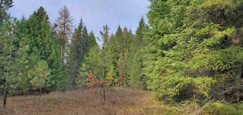 Dl164S Kettle River Road, Rock Creek, BC 