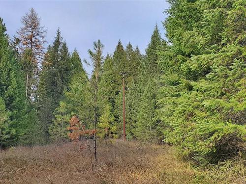 Dl164S Kettle River Road, Rock Creek, BC 